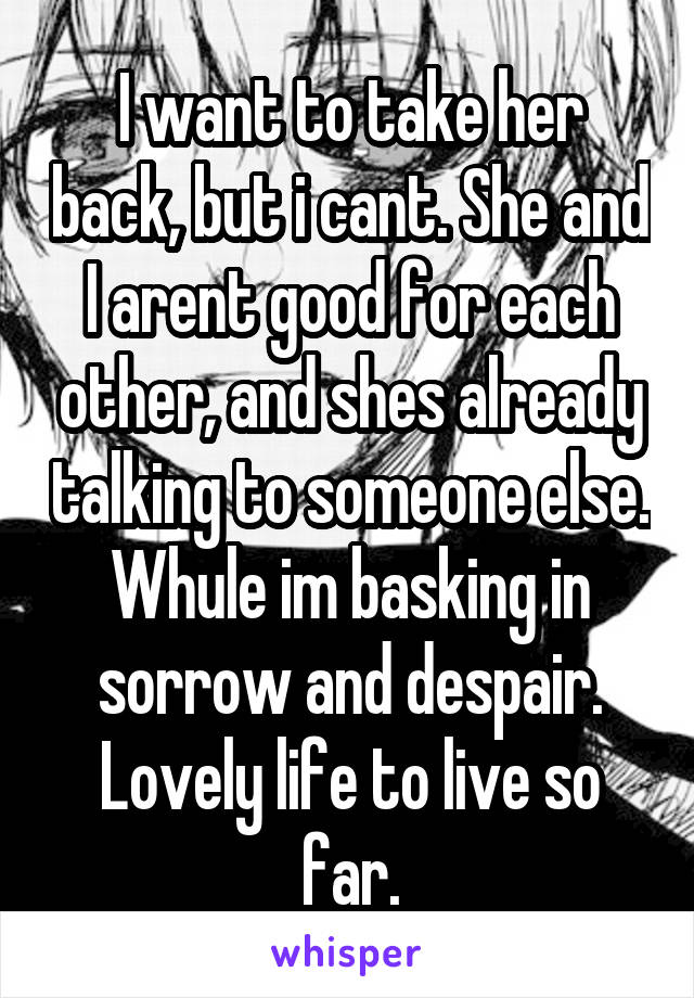 I want to take her back, but i cant. She and I arent good for each other, and shes already talking to someone else. Whule im basking in sorrow and despair. Lovely life to live so far.