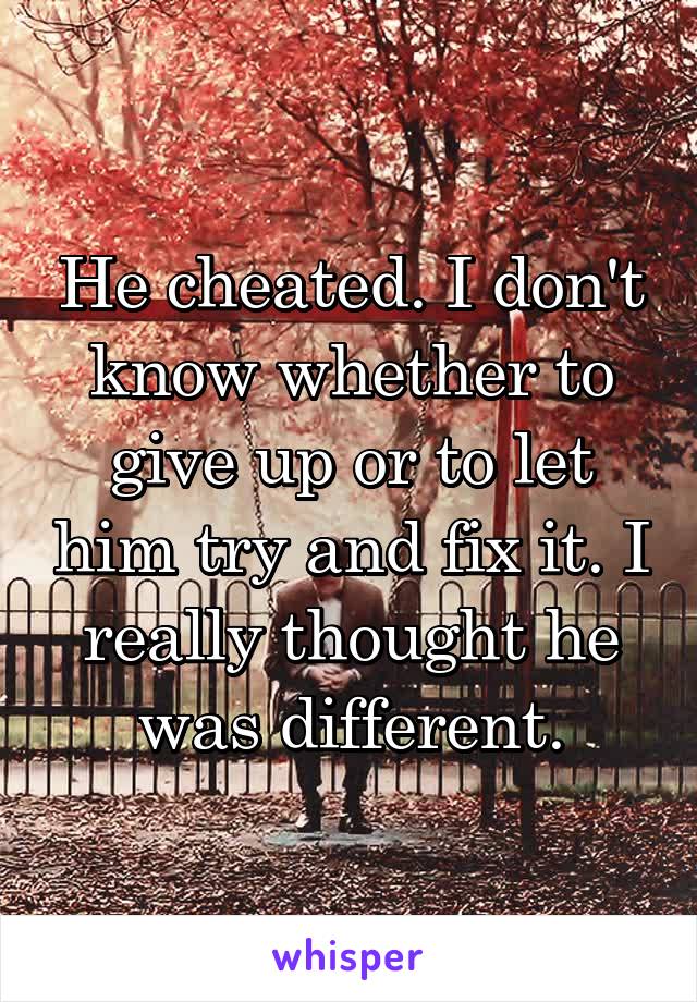 He cheated. I don't know whether to give up or to let him try and fix it. I really thought he was different.