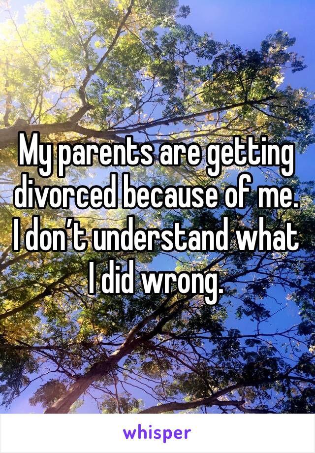 My parents are getting divorced because of me. I don’t understand what I did wrong. 