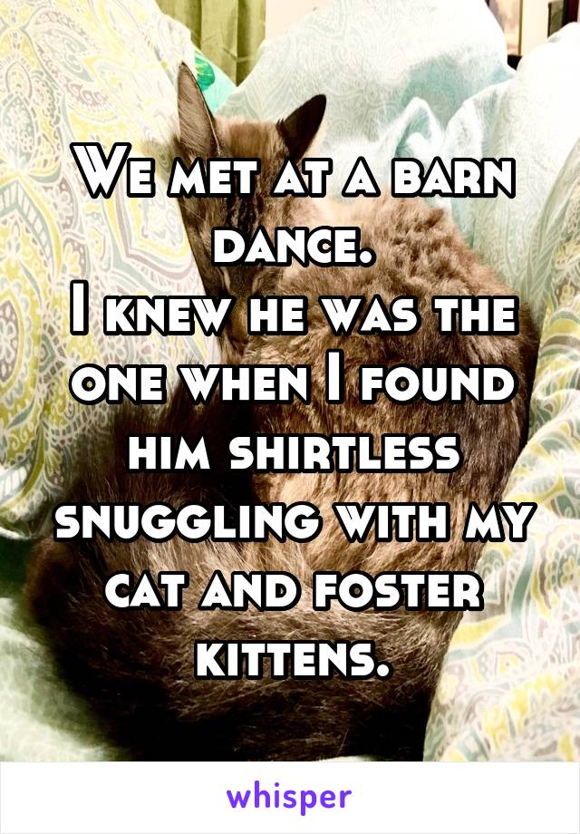 We met at a barn dance.
I knew he was the one when I found him shirtless snuggling with my cat and foster kittens.