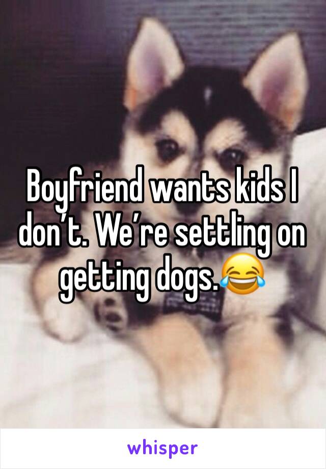 Boyfriend wants kids I don’t. We’re settling on getting dogs.😂