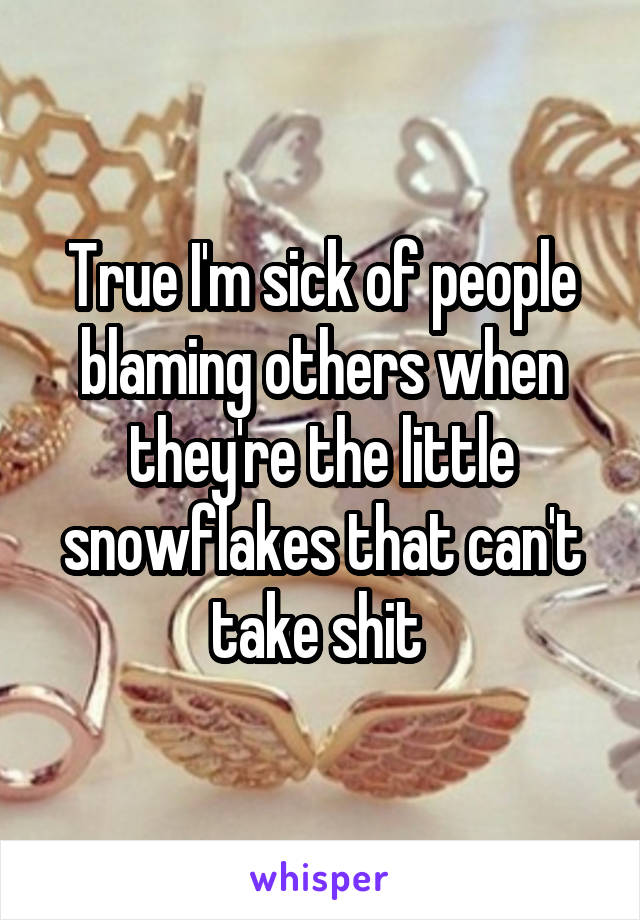 True I'm sick of people blaming others when they're the little snowflakes that can't take shit 