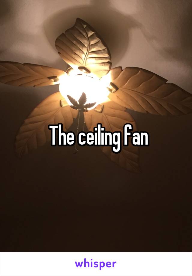  The ceiling fan