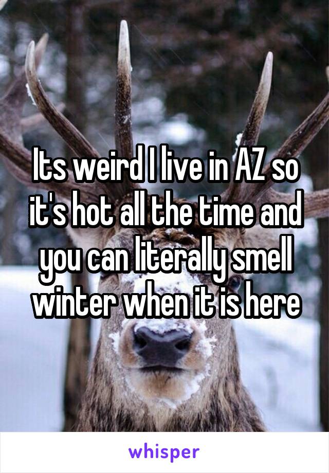 Its weird I live in AZ so it's hot all the time and you can literally smell winter when it is here