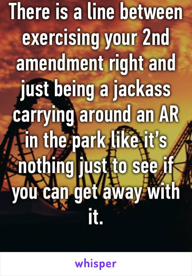 There is a line between exercising your 2nd amendment right and just being a jackass carrying around an AR in the park like it’s nothing just to see if you can get away with it. 