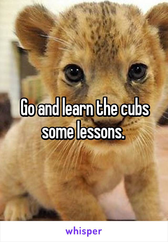 Go and learn the cubs some lessons. 