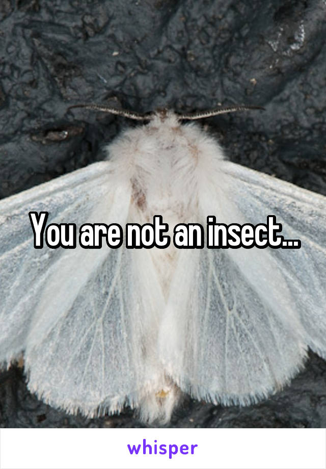 You are not an insect...