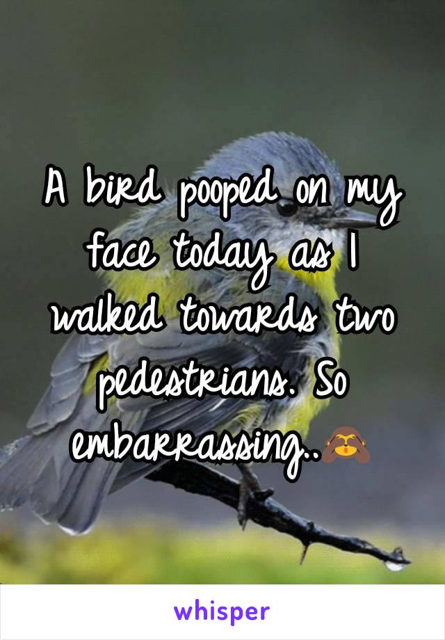 A bird pooped on my face today as I walked towards two pedestrians. So embarrassing..🙈