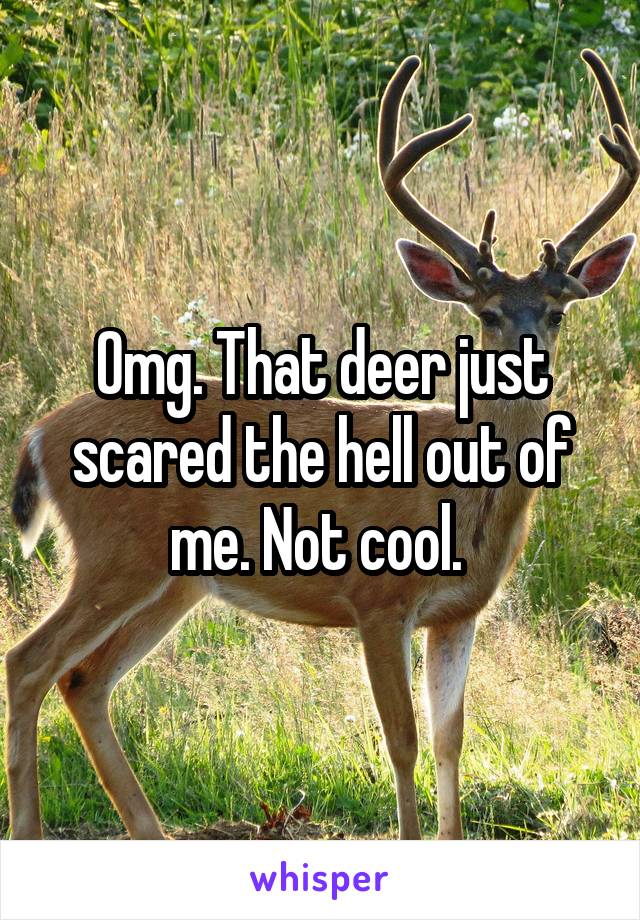 Omg. That deer just scared the hell out of me. Not cool. 