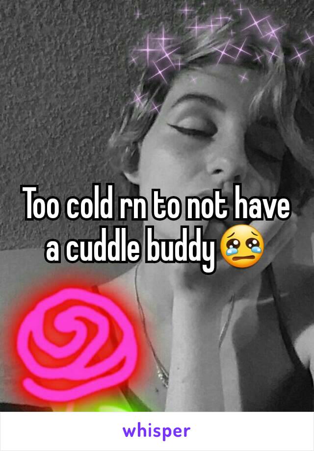 Too cold rn to not have a cuddle buddy😢