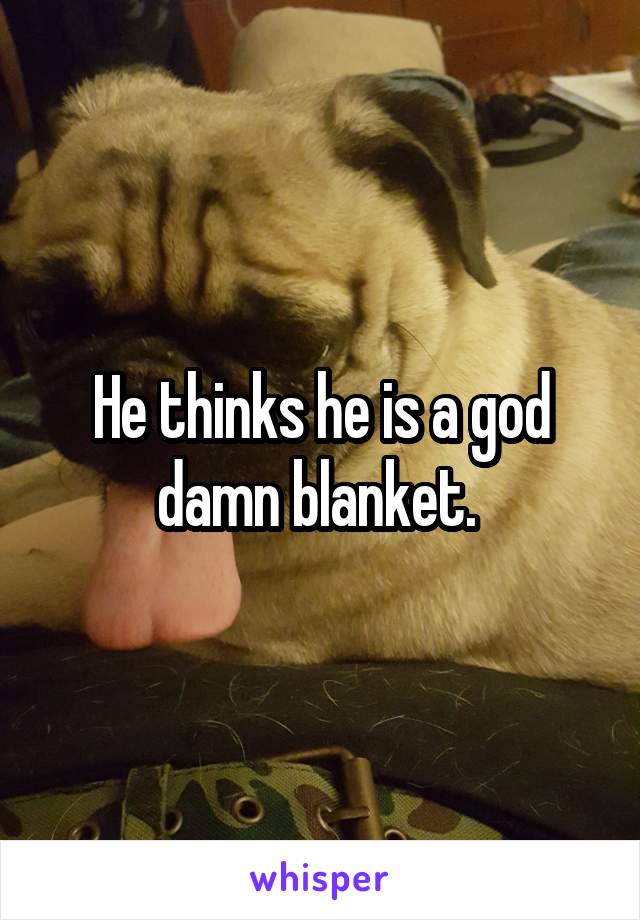 He thinks he is a god damn blanket. 