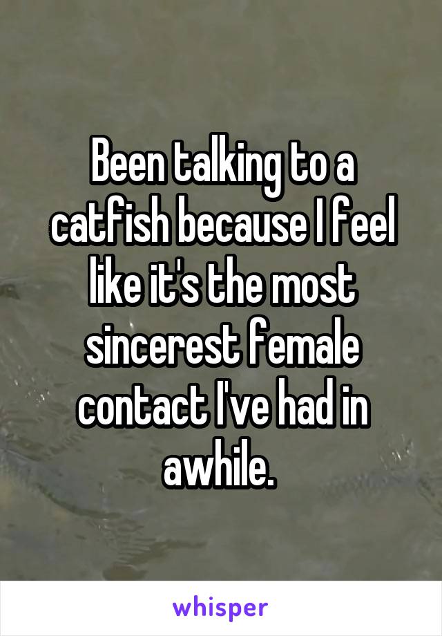 Been talking to a catfish because I feel like it's the most sincerest female contact I've had in awhile. 