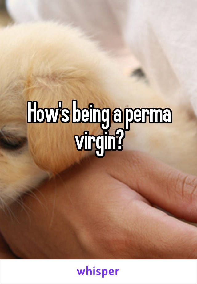 How's being a perma virgin?
