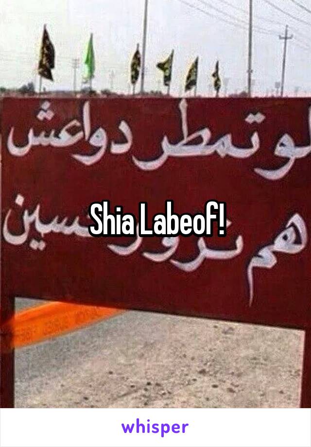 Shia Labeof!