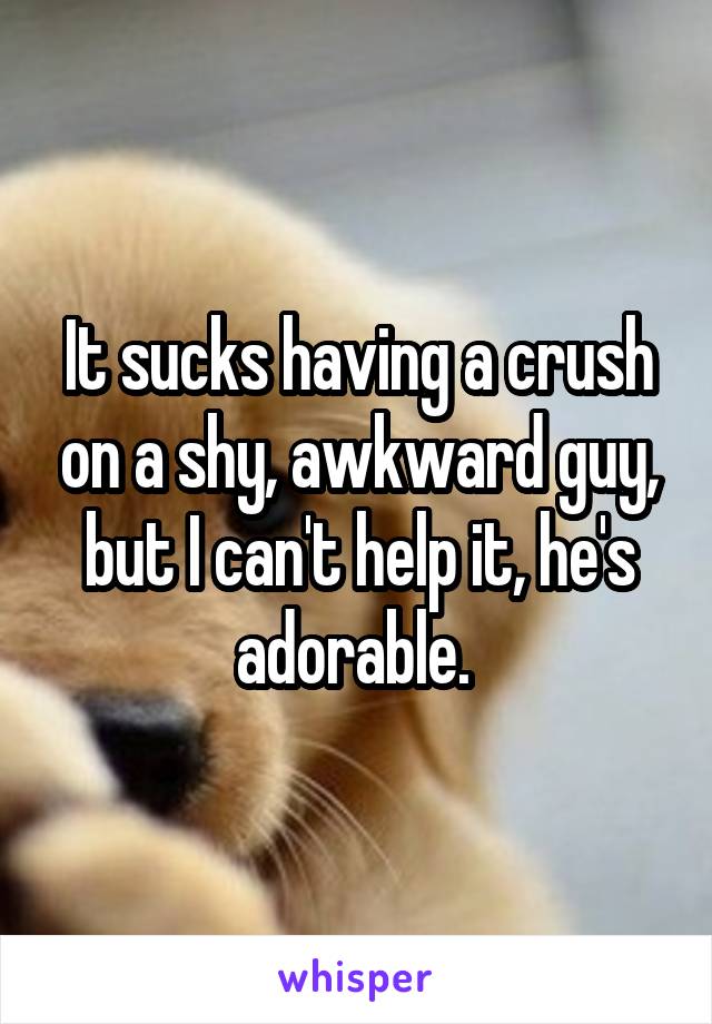 It sucks having a crush on a shy, awkward guy, but I can't help it, he's adorable. 