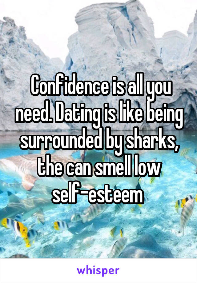  Confidence is all you need. Dating is like being surrounded by sharks, the can smell low self-esteem 