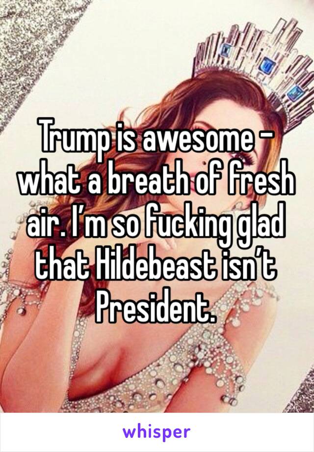 Trump is awesome - what a breath of fresh air. I’m so fucking glad that Hildebeast isn’t President. 