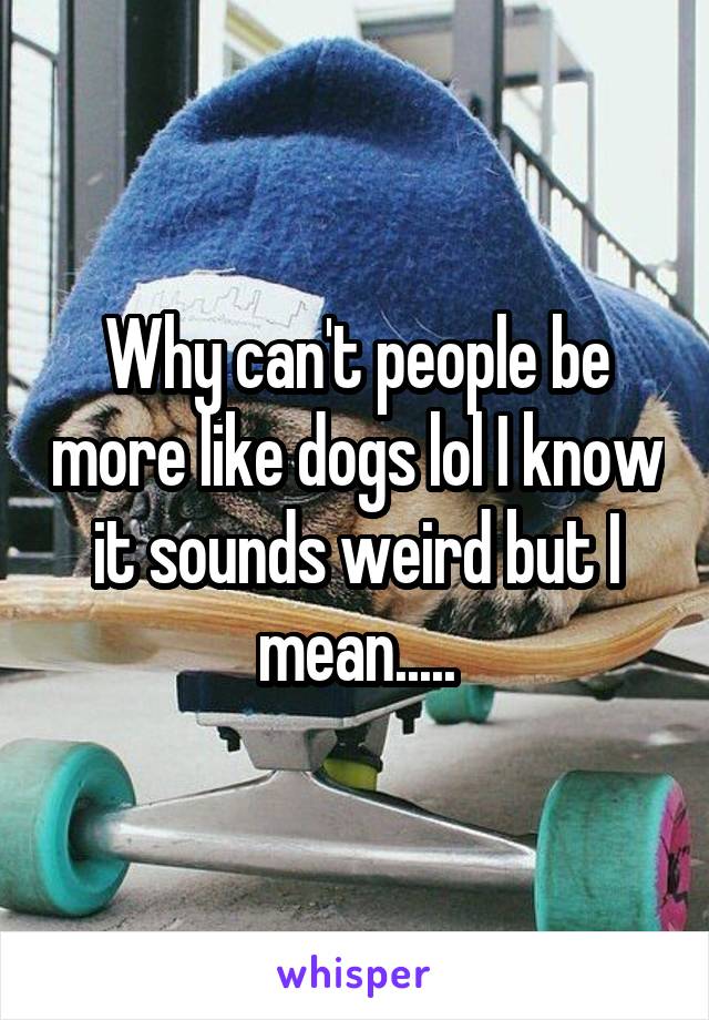 Why can't people be more like dogs lol I know it sounds weird but I mean.....