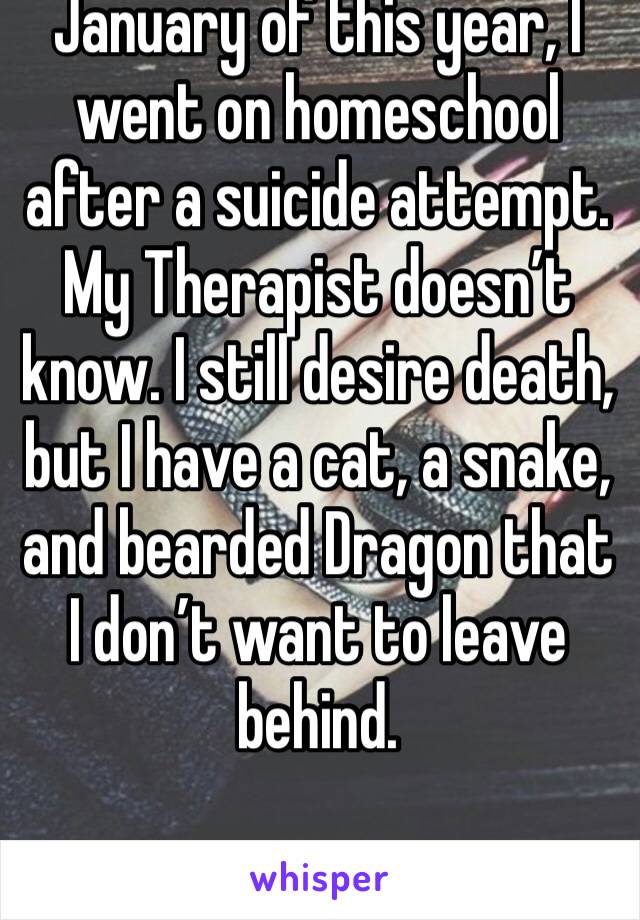 January of this year, I went on homeschool after a suicide attempt.
My Therapist doesn’t know. I still desire death, but I have a cat, a snake, and bearded Dragon that I don’t want to leave behind.