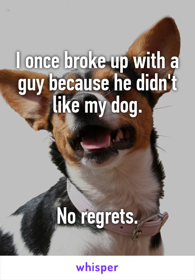 I once broke up with a guy because he didn't like my dog.




No regrets.