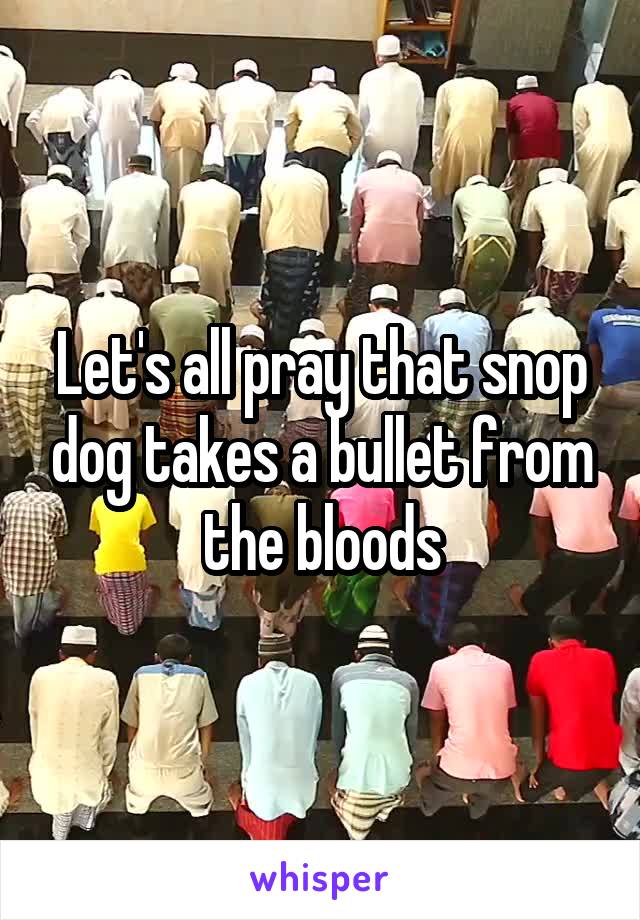 Let's all pray that snop dog takes a bullet from the bloods