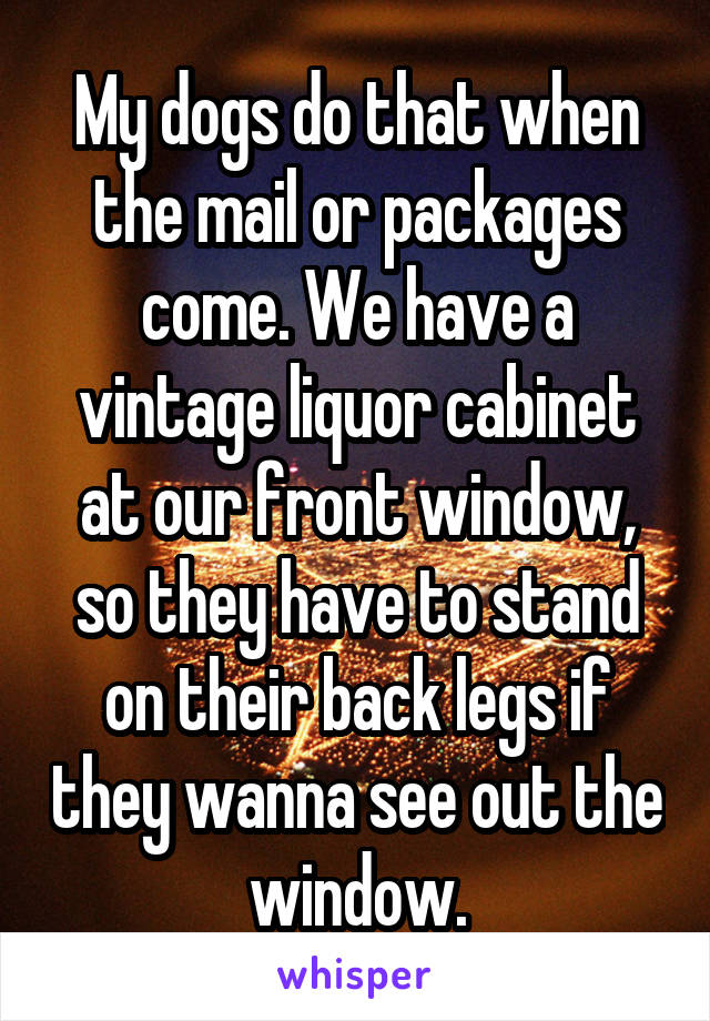 My dogs do that when the mail or packages come. We have a vintage liquor cabinet at our front window, so they have to stand on their back legs if they wanna see out the window.