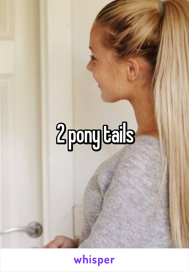 2 pony tails