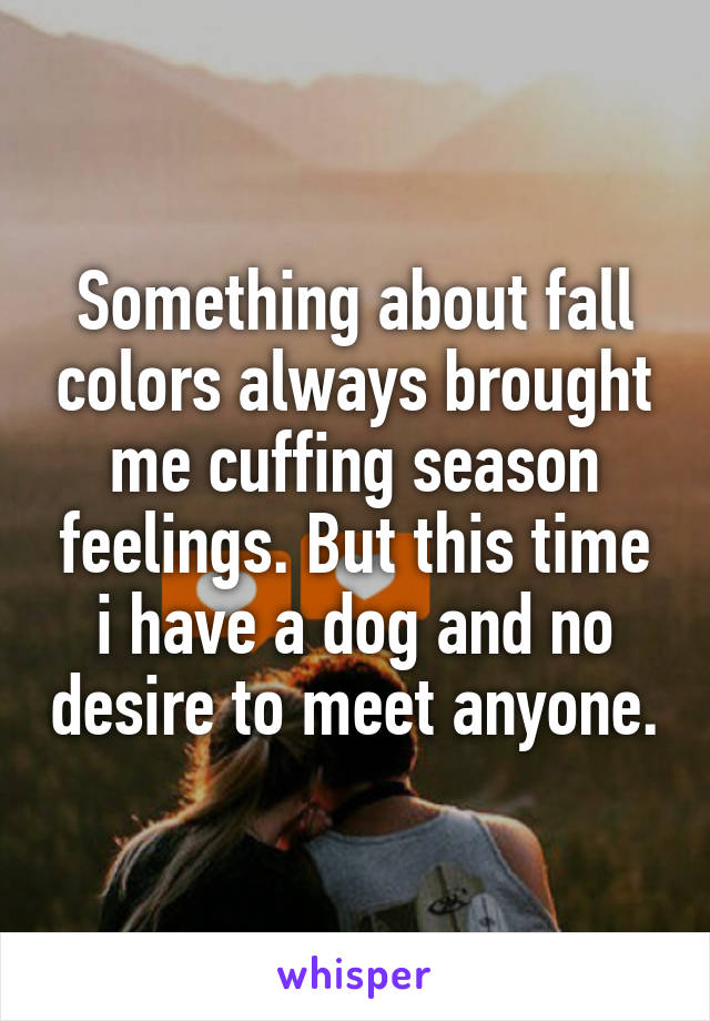 Something about fall colors always brought me cuffing season feelings. But this time i have a dog and no desire to meet anyone.