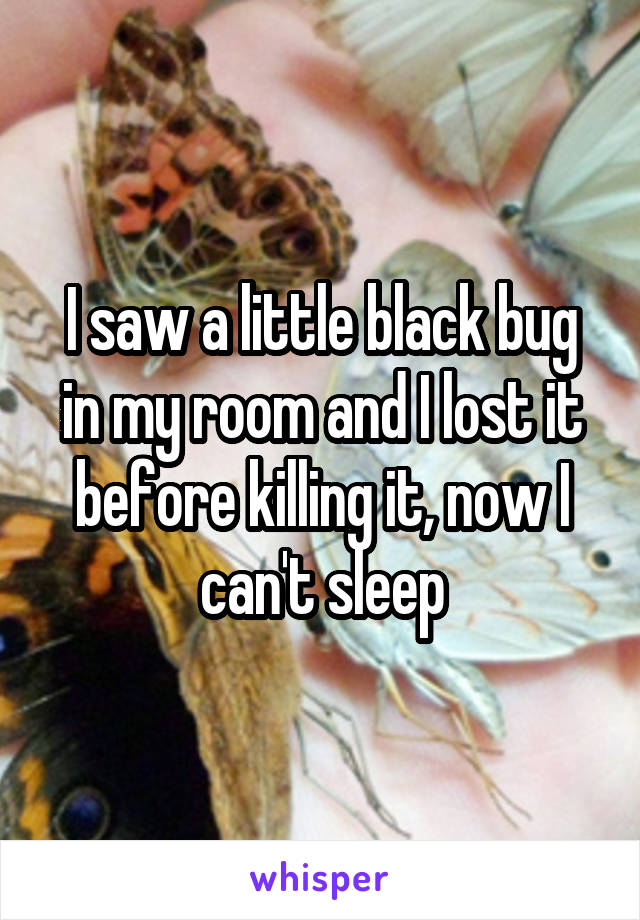 I saw a little black bug in my room and I lost it before killing it, now I can't sleep