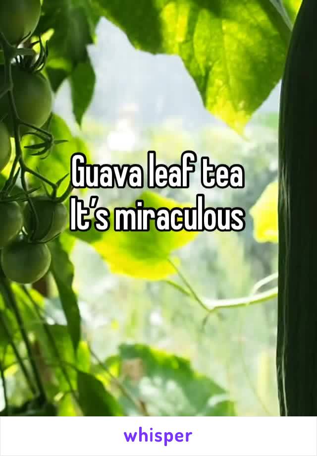 Guava leaf tea
It’s miraculous 