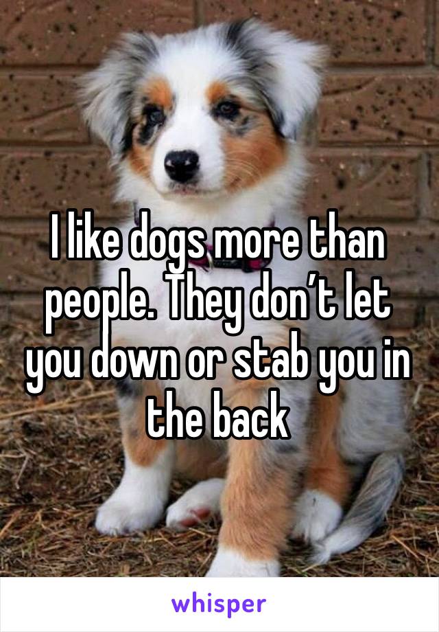 I like dogs more than people. They don’t let you down or stab you in the back