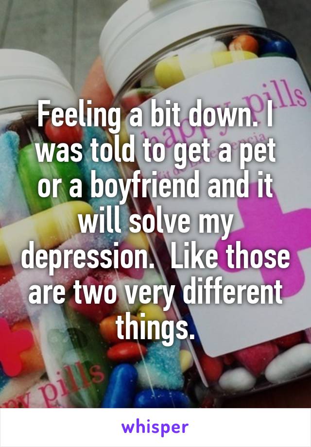 Feeling a bit down. I was told to get a pet or a boyfriend and it will solve my depression.  Like those are two very different things.