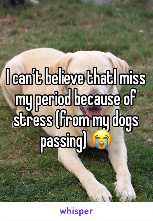 I can’t believe thatI miss my period because of stress (from my dogs passing) 😭