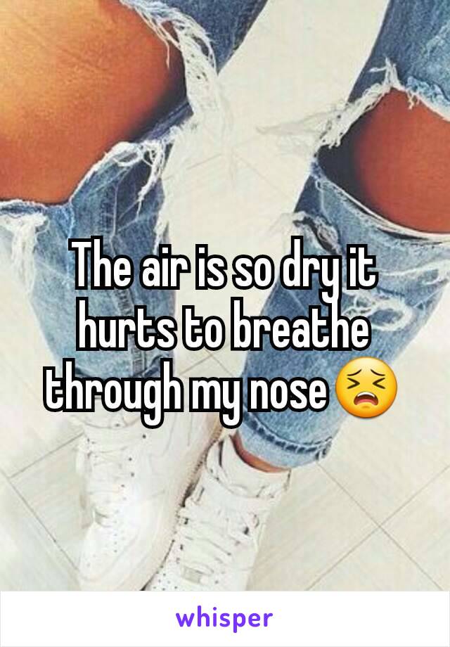 The air is so dry it hurts to breathe through my nose😣