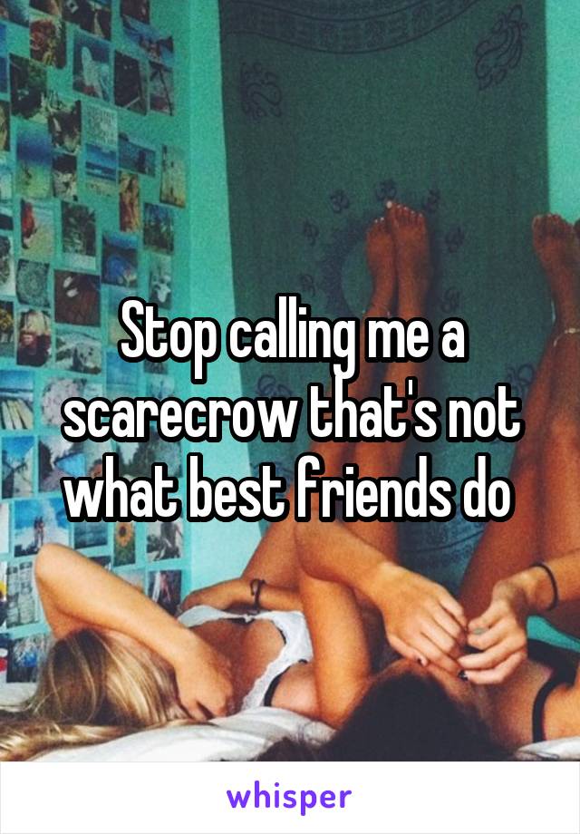 Stop calling me a scarecrow that's not what best friends do 