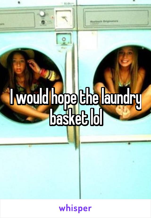 I would hope the laundry basket lol