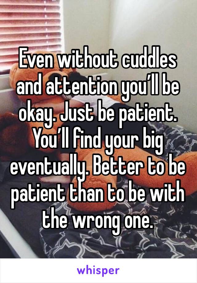 Even without cuddles and attention you’ll be okay. Just be patient. You’ll find your big eventually. Better to be patient than to be with the wrong one.