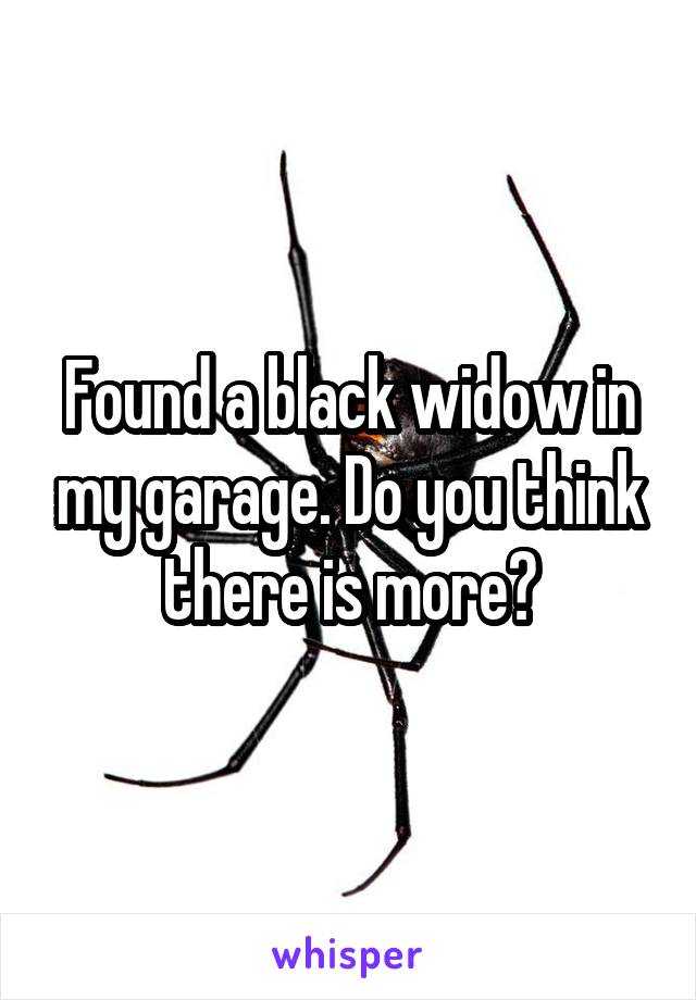 Found a black widow in my garage. Do you think there is more?