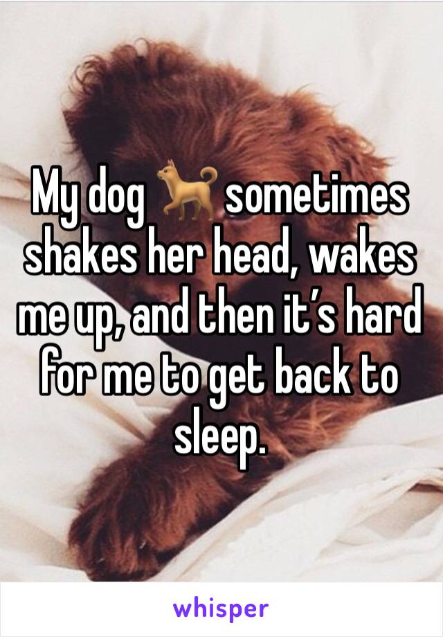 My dog 🐕 sometimes shakes her head, wakes me up, and then it’s hard for me to get back to sleep. 