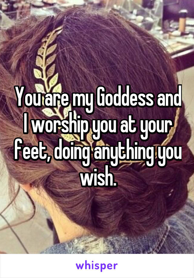 You are my Goddess and I worship you at your feet, doing anything you wish.