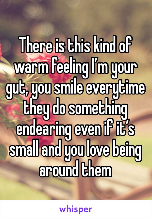 There is this kind of warm feeling I’m your gut, you smile everytime they do something endearing even if it’s small and you love being around them