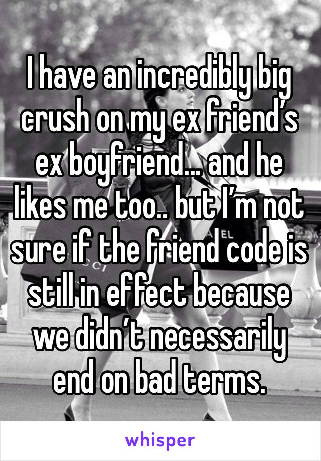 I have an incredibly big crush on my ex friend’s ex boyfriend... and he likes me too.. but I’m not sure if the friend code is still in effect because we didn’t necessarily end on bad terms.