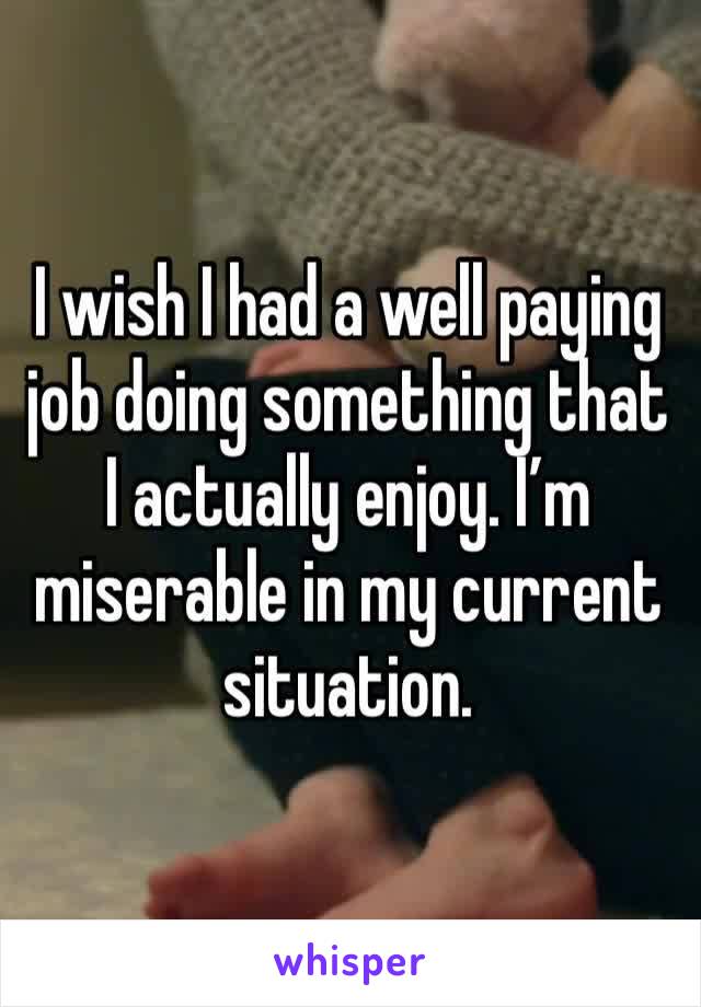 I wish I had a well paying job doing something that I actually enjoy. I’m miserable in my current situation.