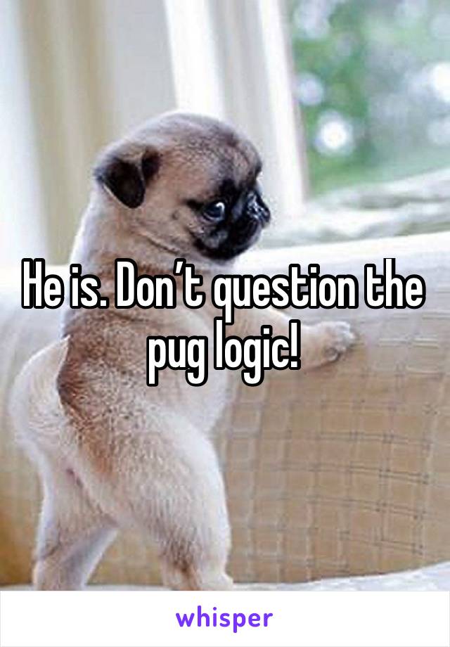 He is. Don’t question the pug logic!