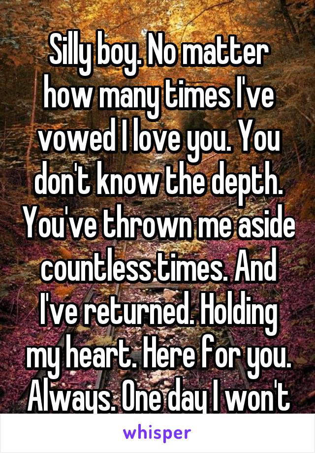 Silly boy. No matter how many times I've vowed I love you. You don't know the depth. You've thrown me aside countless times. And I've returned. Holding my heart. Here for you. Always. One day I won't