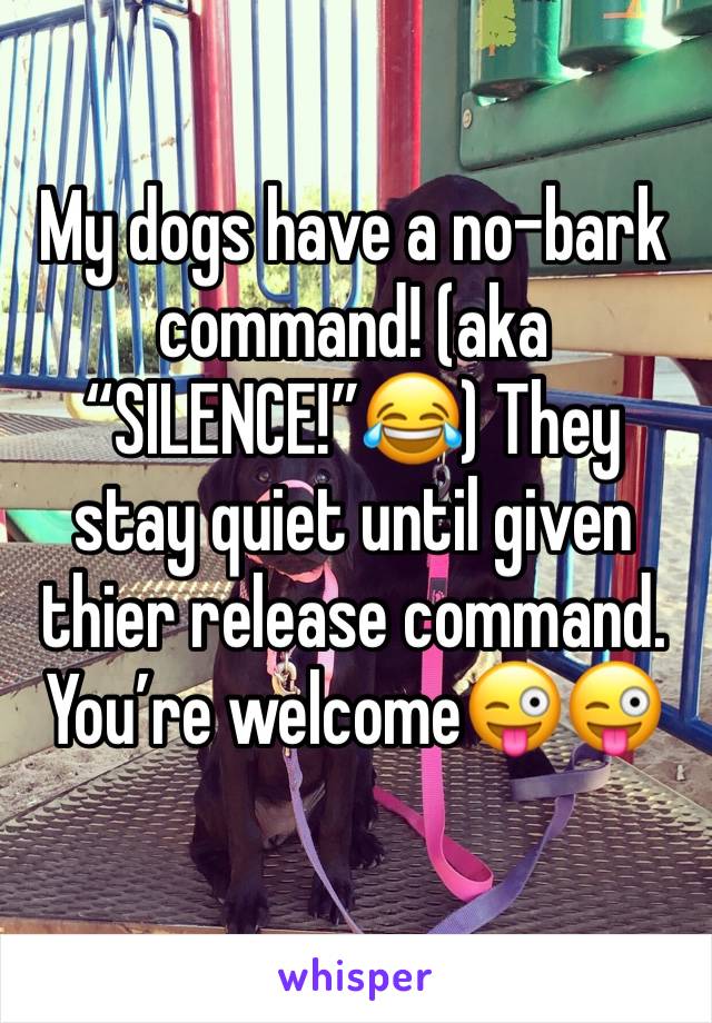 My dogs have a no-bark command! (aka “SILENCE!”😂) They stay quiet until given thier release command. You’re welcome😜😜