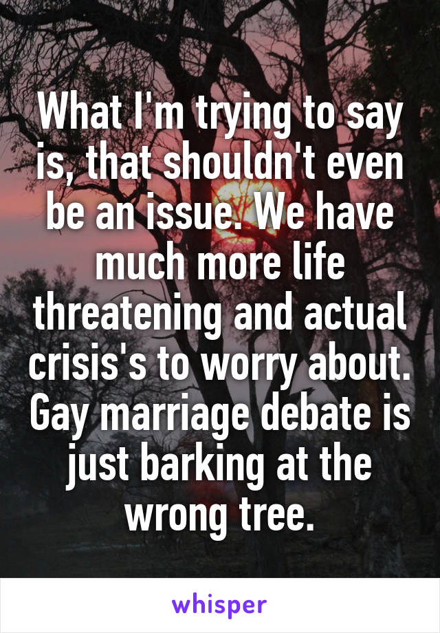 What I'm trying to say is, that shouldn't even be an issue. We have much more life threatening and actual crisis's to worry about. Gay marriage debate is just barking at the wrong tree.