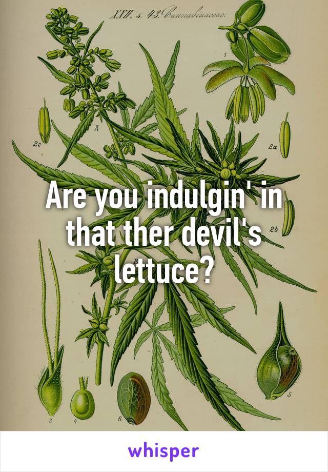 Are you indulgin' in that ther devil's lettuce?