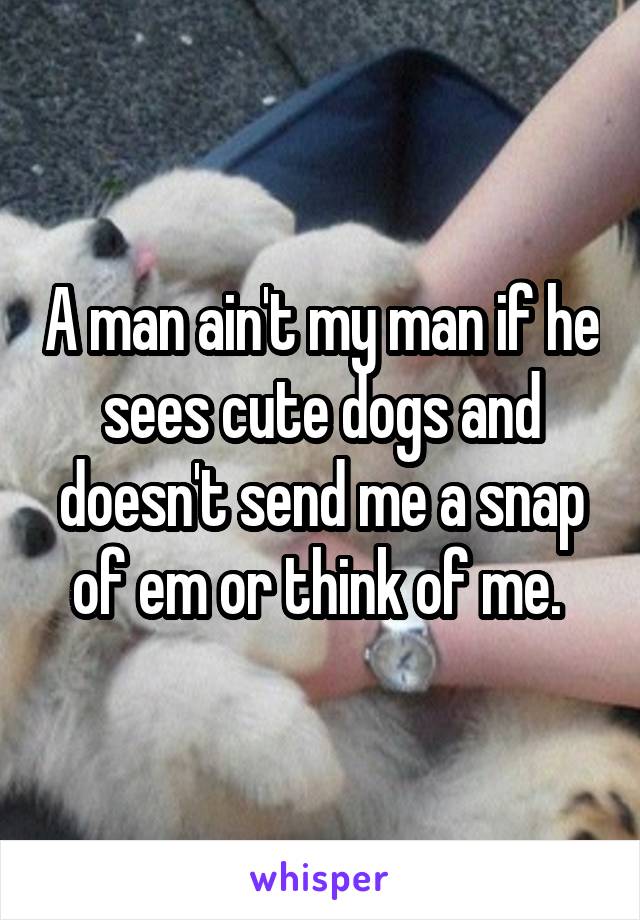 A man ain't my man if he sees cute dogs and doesn't send me a snap of em or think of me. 