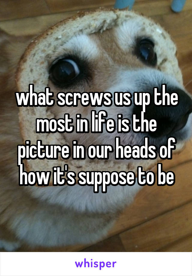 what screws us up the most in life is the picture in our heads of how it's suppose to be